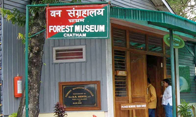 forest-museum-img